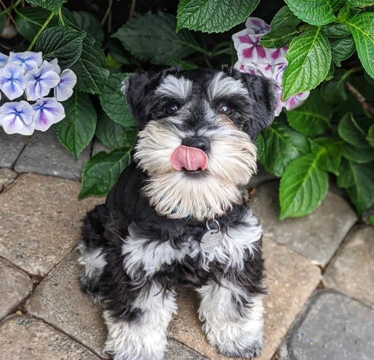Gus,