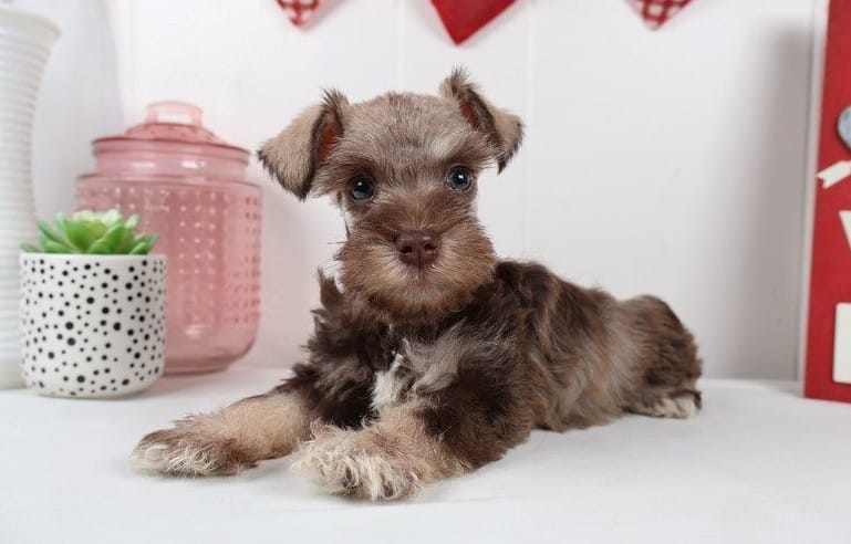 Winston,.